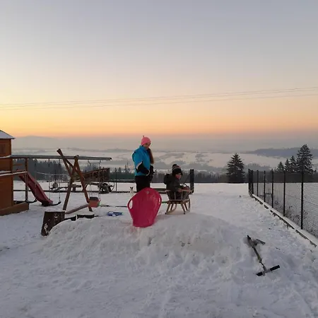 Wyrostek Guest house *